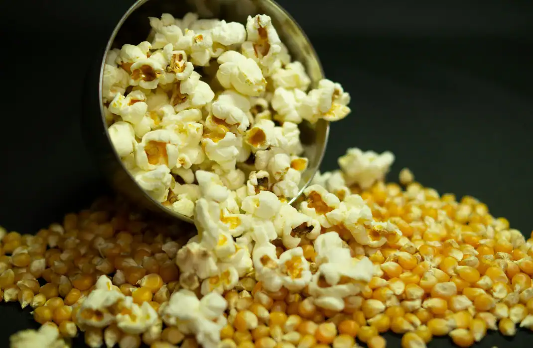 inside a popcorn machine